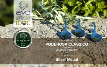 EVO International olive oil contest